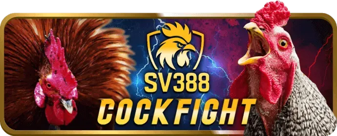 Minh họa FAQ bigboss link vào